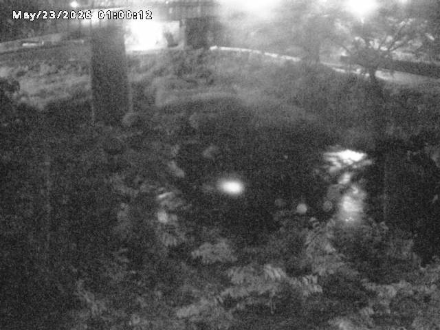 日野川１０2026/05/24 1:00:00