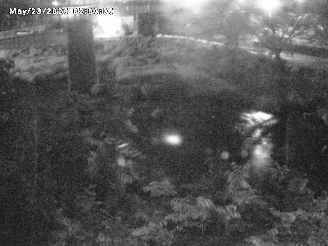 日野川１０2026/05/24 1:00:00