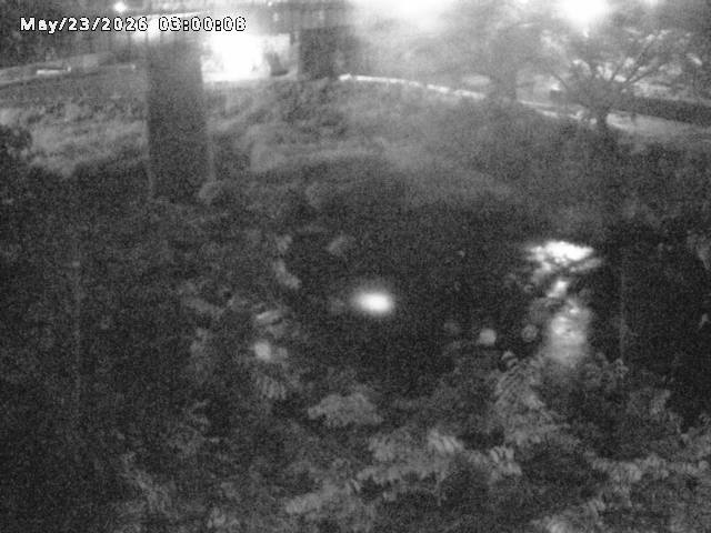日野川１０2026/05/24 1:00:00