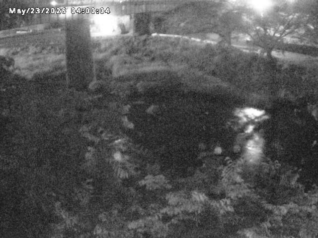 日野川１０2026/05/24 1:00:00