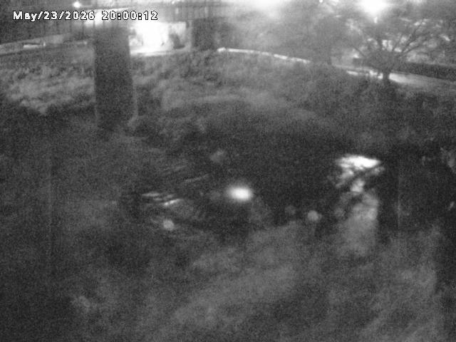 日野川１０2026/05/24 1:00:00