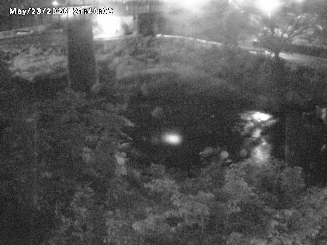 日野川１０2026/05/24 1:00:00