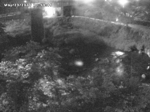 日野川１０2026/05/24 1:00:00