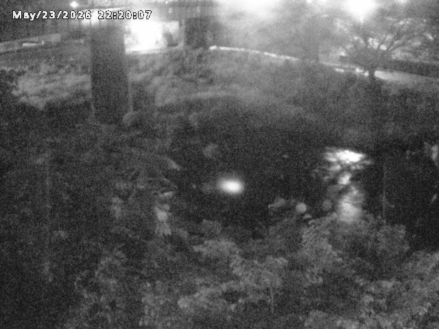 日野川１０2026/05/24 1:00:00