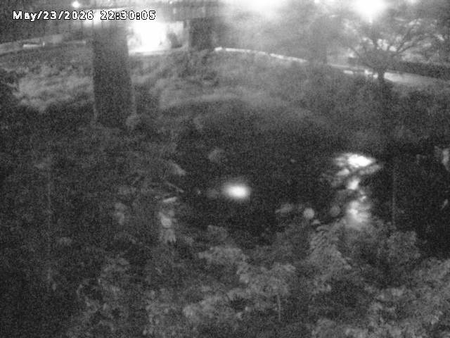 日野川１０2026/05/24 1:00:00