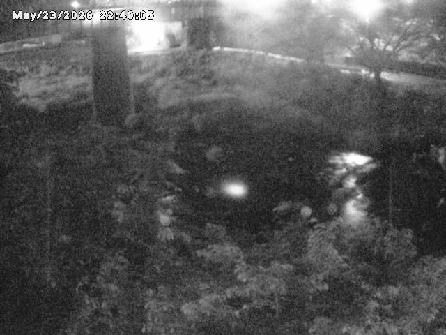 日野川１０2026/05/24 1:00:00