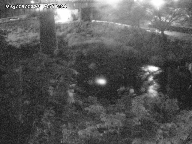 日野川１０2026/05/24 1:00:00