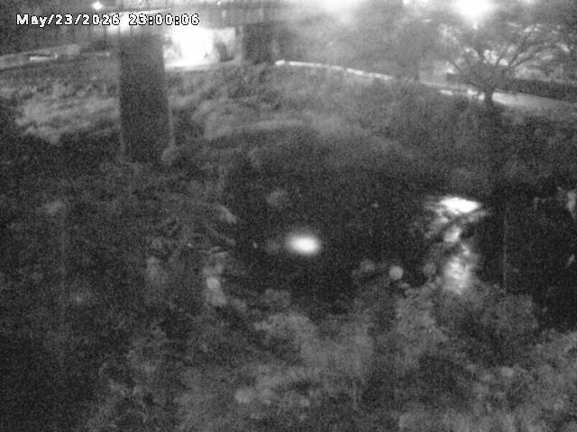 日野川１０2026/05/24 1:00:00