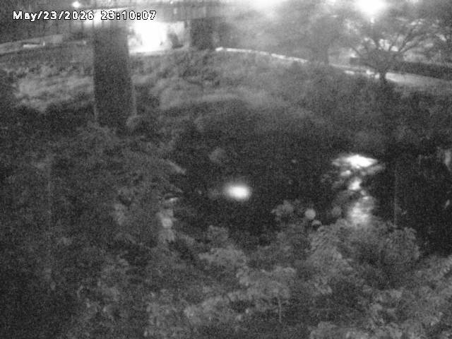 日野川１０2026/05/24 1:00:00