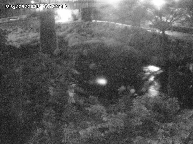 日野川１０2026/05/24 1:00:00