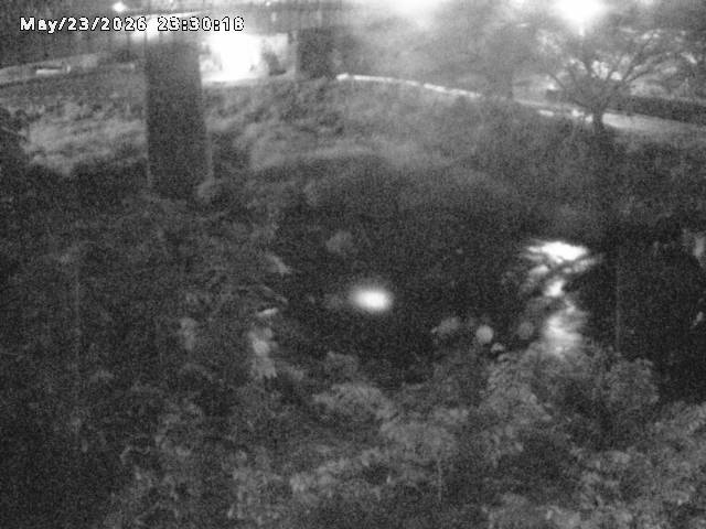 日野川１０2026/05/24 1:00:00