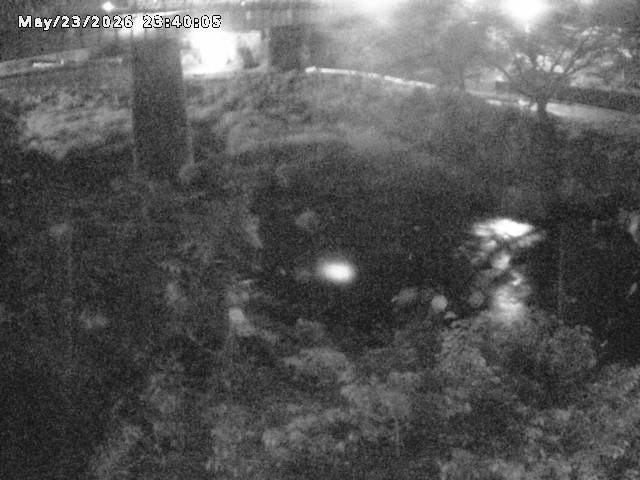 日野川１０2026/05/24 1:00:00