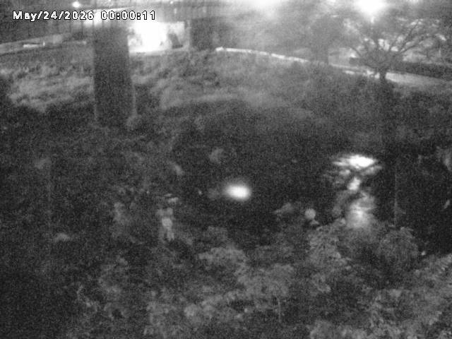 日野川１０2026/05/24 1:00:00