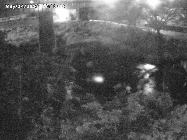 日野川１０2026/05/24 1:00:00