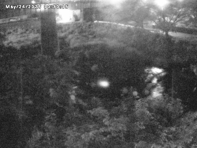 日野川１０2026/05/24 1:00:00