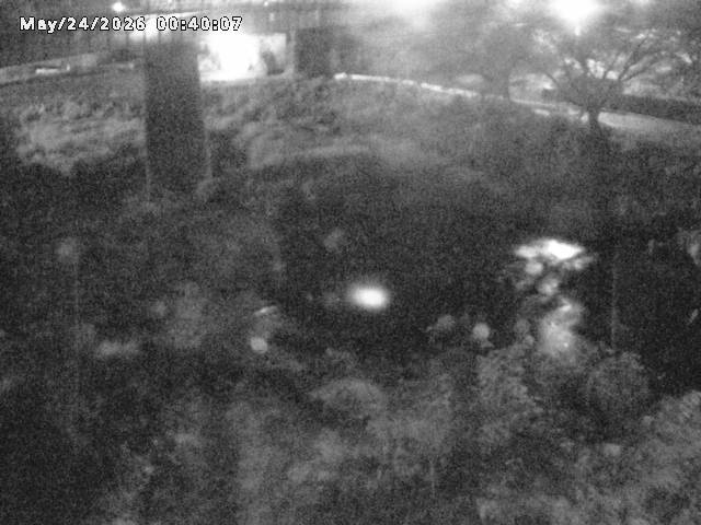 日野川１０2026/05/24 1:00:00