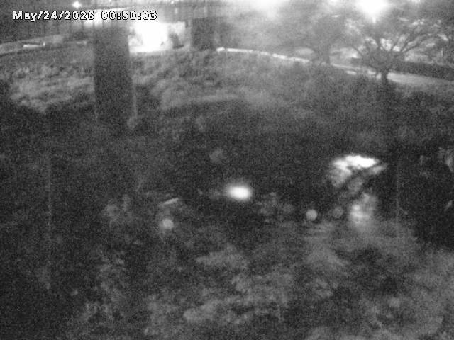 日野川１０2026/05/24 1:00:00