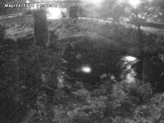 日野川１０2026/05/24 1:00:00