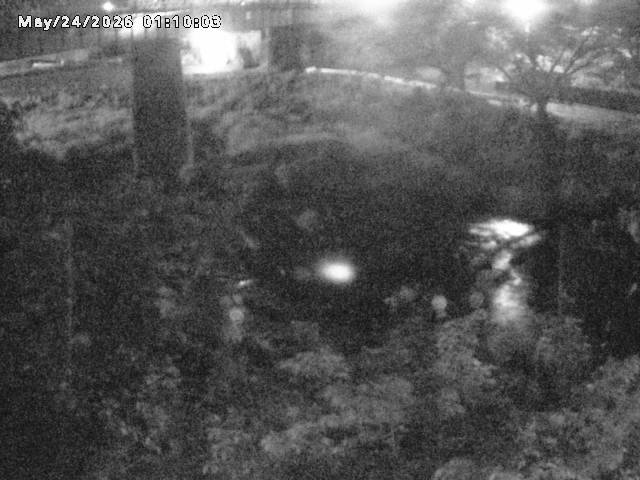 日野川１０2026/05/24 1:00:00