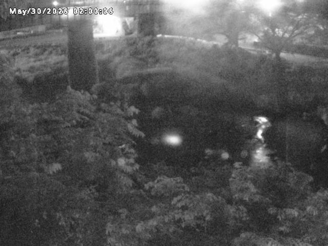 日野川１０2026/05/31 2:00:00