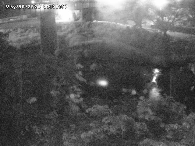 日野川１０2026/05/31 2:00:00
