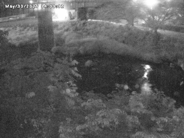 日野川１０2026/05/31 2:00:00