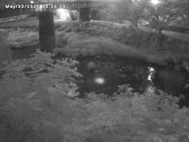 日野川１０2026/05/31 2:00:00