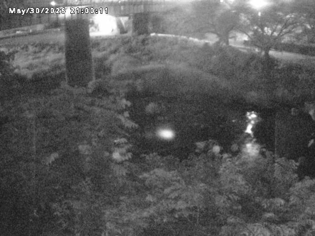 日野川１０2026/05/31 2:00:00
