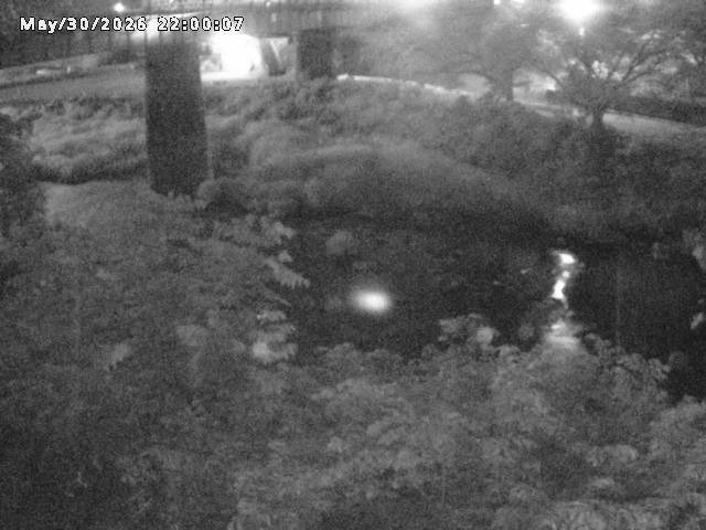 日野川１０2026/05/31 2:00:00