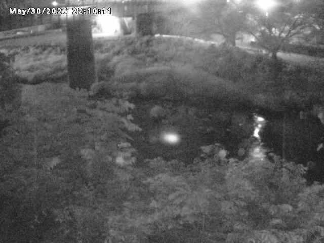 日野川１０2026/05/31 2:00:00
