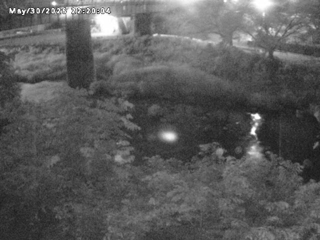 日野川１０2026/05/31 2:00:00