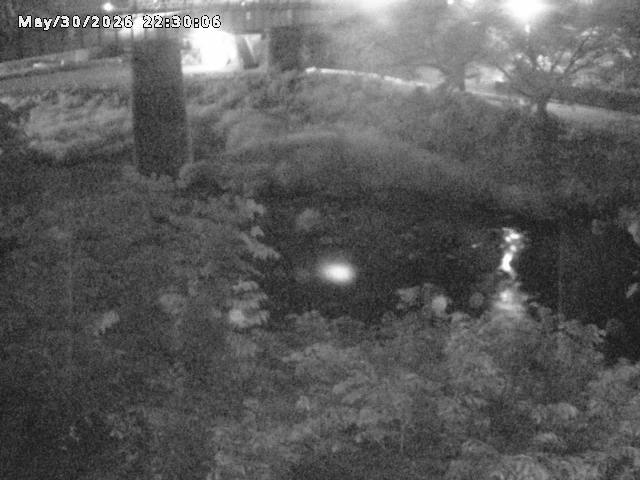 日野川１０2026/05/31 2:00:00