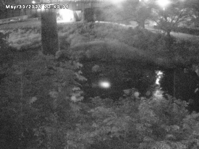 日野川１０2026/05/31 2:00:00