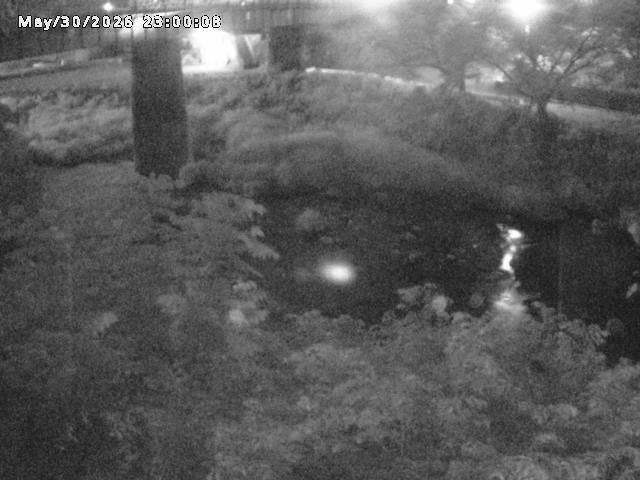 日野川１０2026/05/31 2:00:00