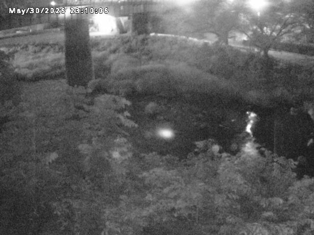 日野川１０2026/05/31 2:00:00