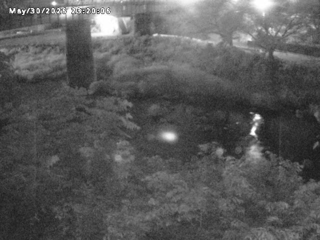 日野川１０2026/05/31 2:00:00