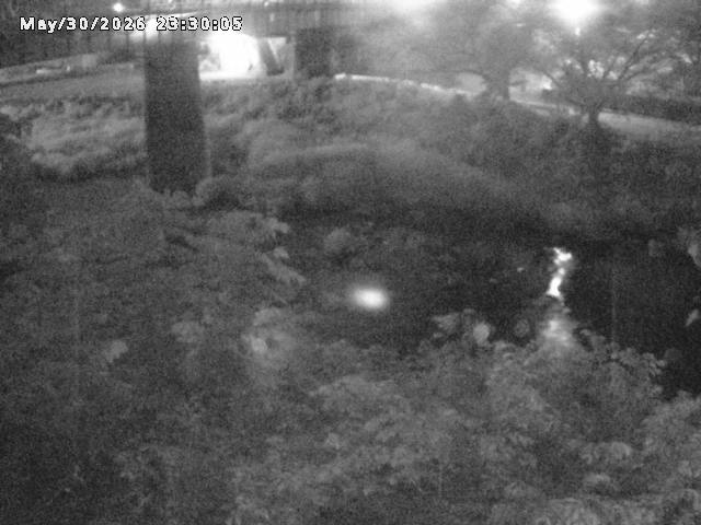 日野川１０2026/05/31 2:00:00