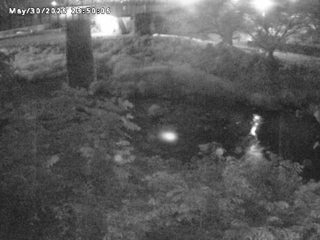 日野川１０2026/05/31 2:00:00