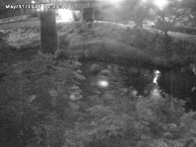 日野川１０2026/05/31 2:00:00