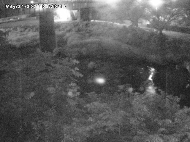 日野川１０2026/05/31 2:00:00