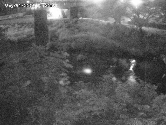 日野川１０2026/05/31 2:00:00