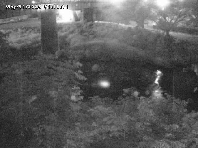 日野川１０2026/05/31 2:00:00