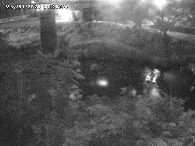 日野川１０2026/05/31 2:00:00