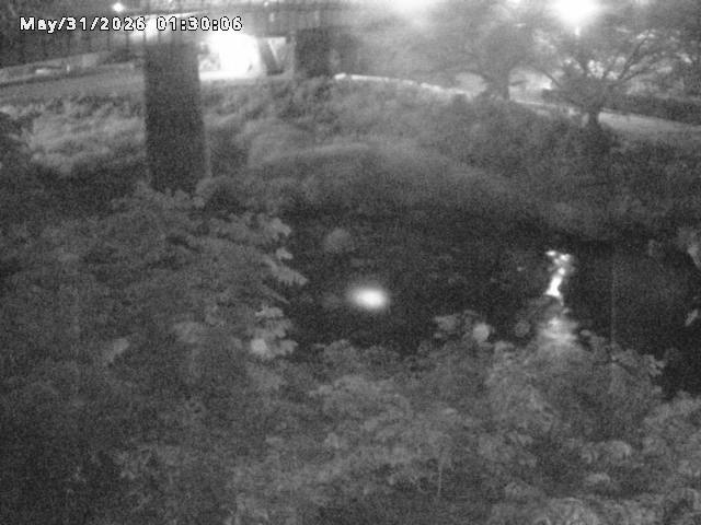 日野川１０2026/05/31 2:00:00