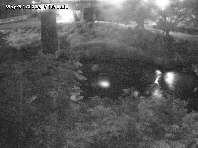 日野川１０2026/05/31 2:00:00