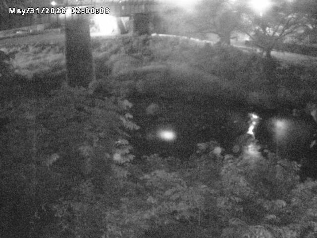 日野川１０2026/05/31 2:00:00