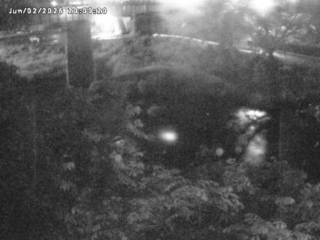 日野川１０2026/06/03 6:20:00