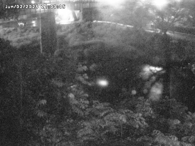 日野川１０2026/06/03 6:20:00