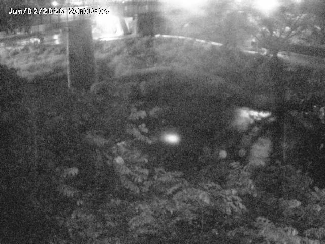 日野川１０2026/06/03 6:20:00