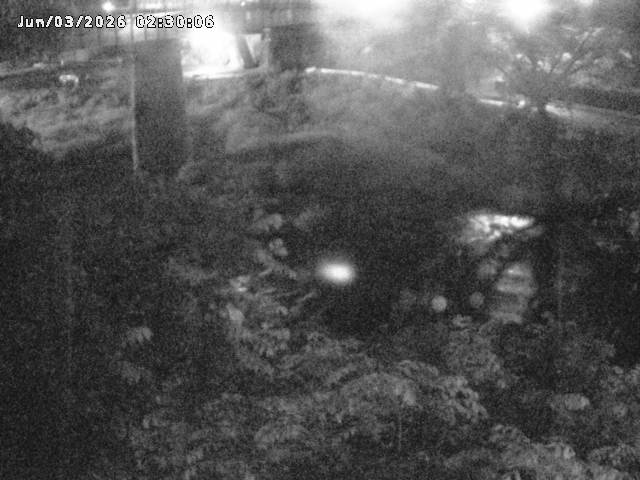 日野川１０2026/06/03 6:20:00